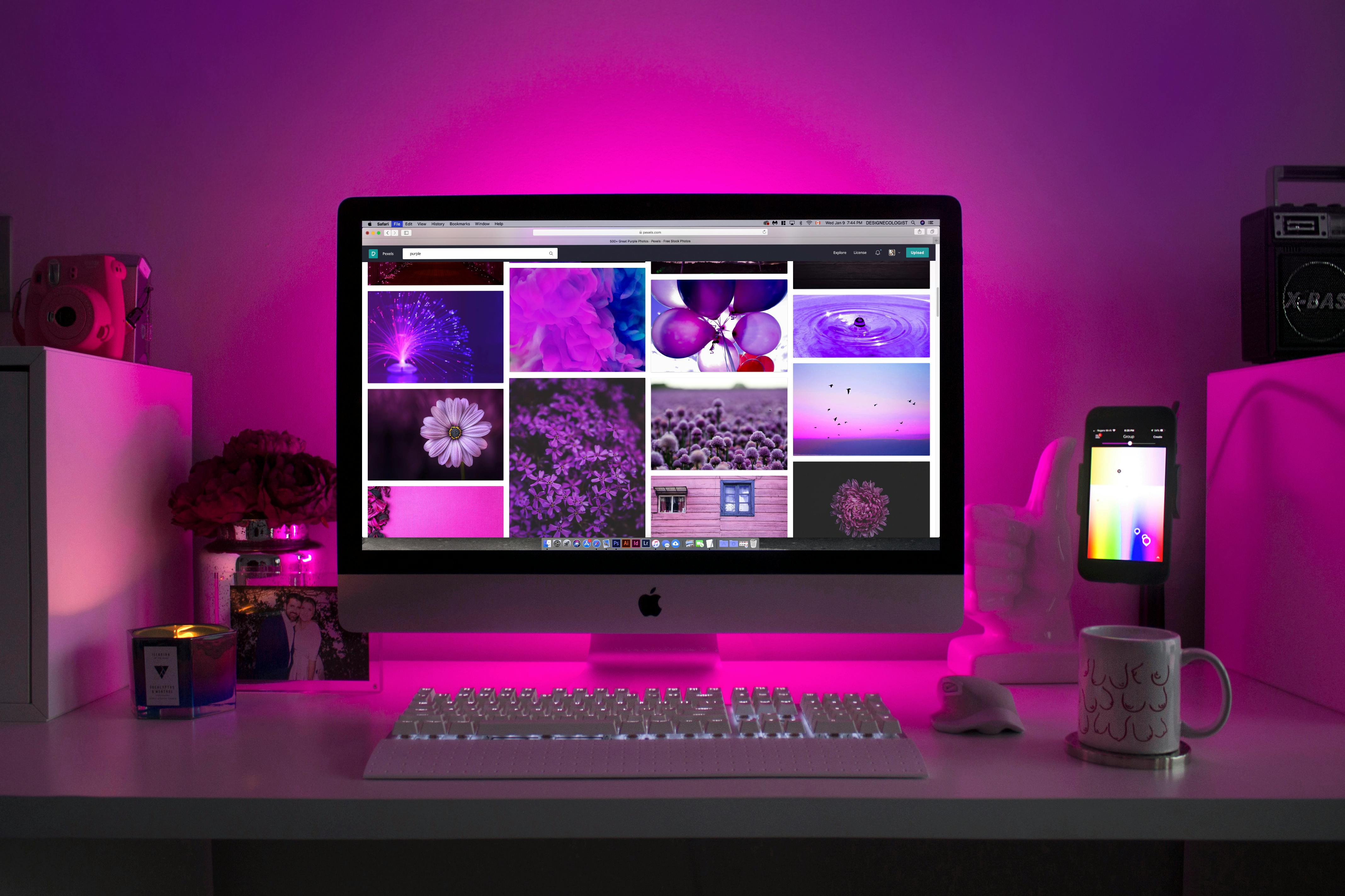 Design & Development