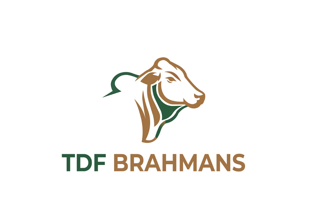Logo 28